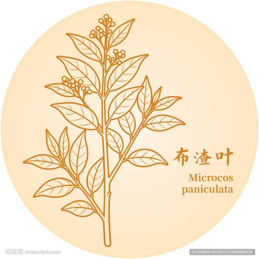 布渣叶植物线描图案