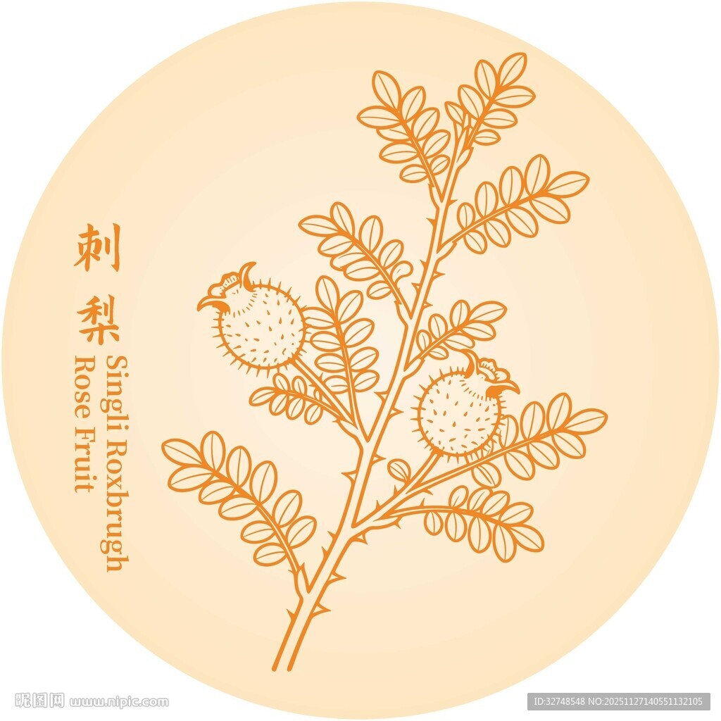 刺梨枝叶图案设计