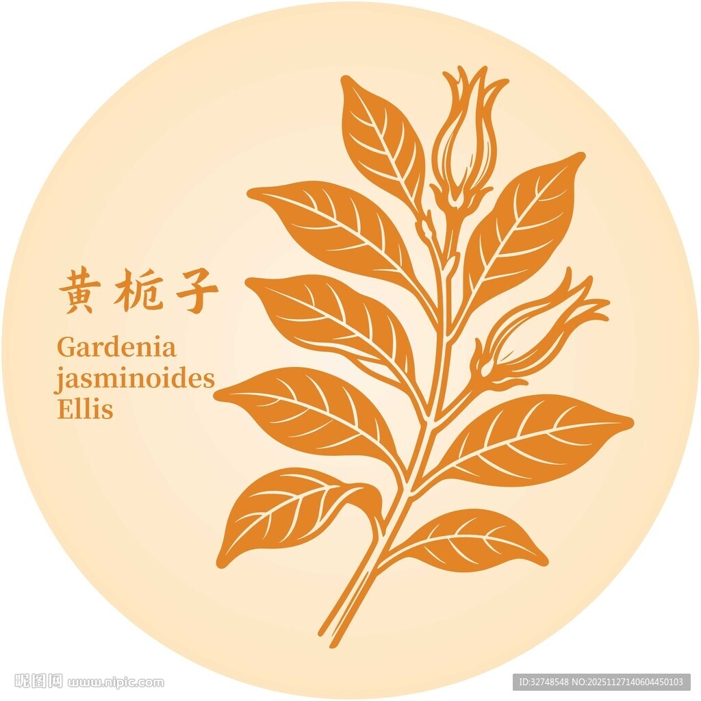 黄栀子植物图案