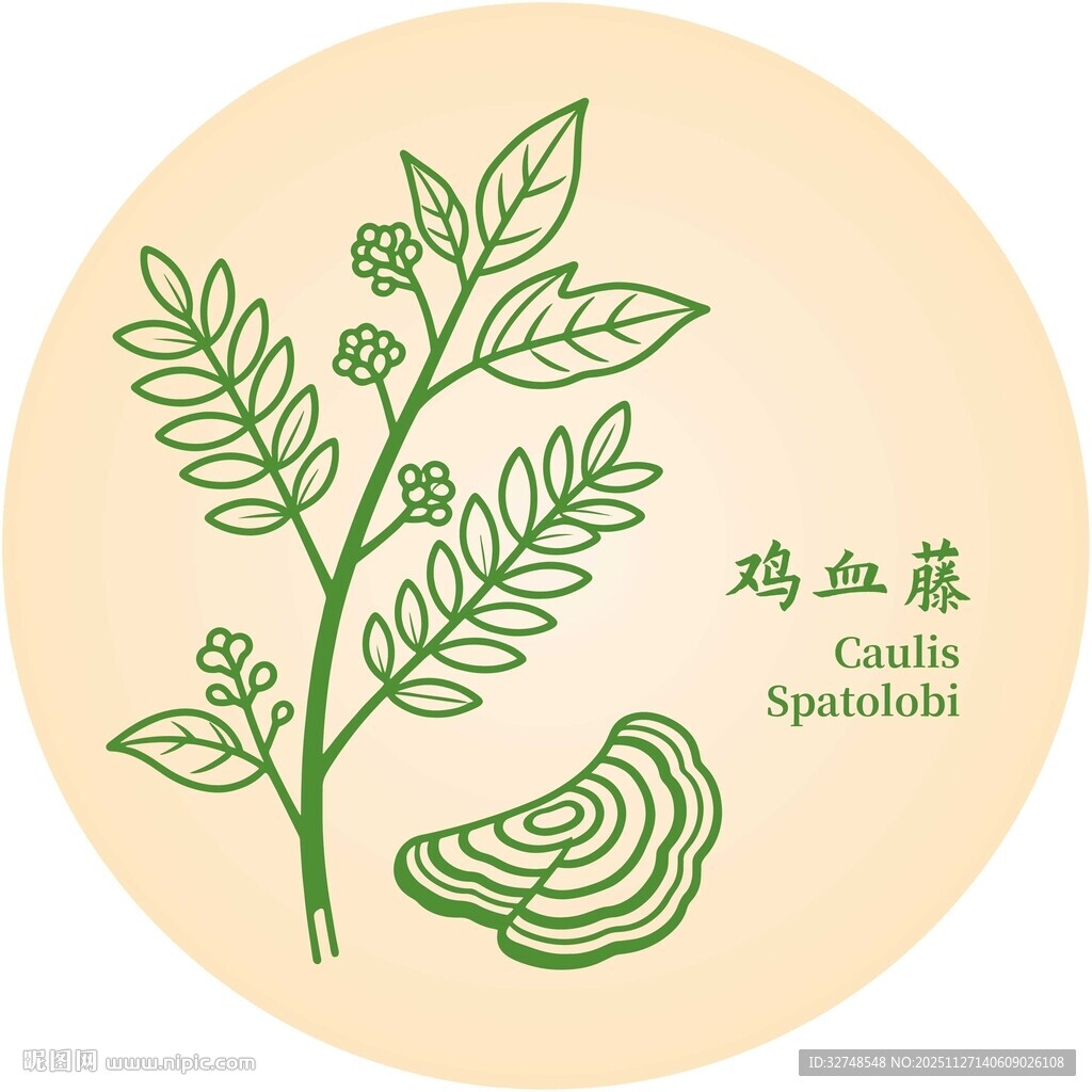 鸡血藤植物图示