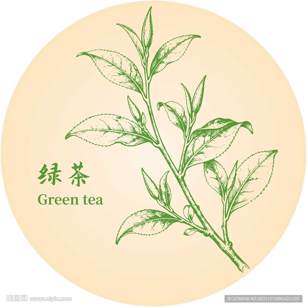 手绘绿茶枝叶图案