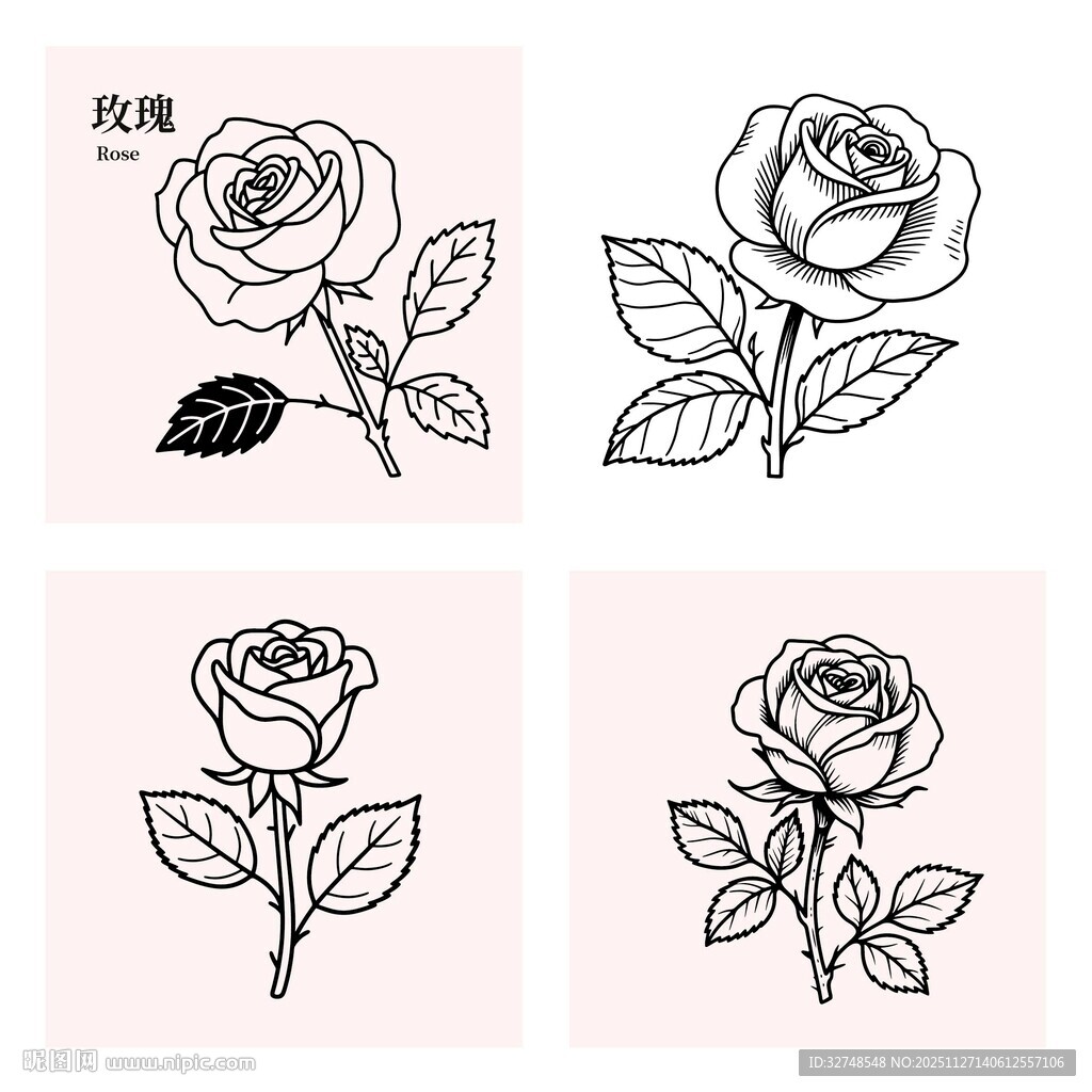 手绘线条玫瑰花图案集合