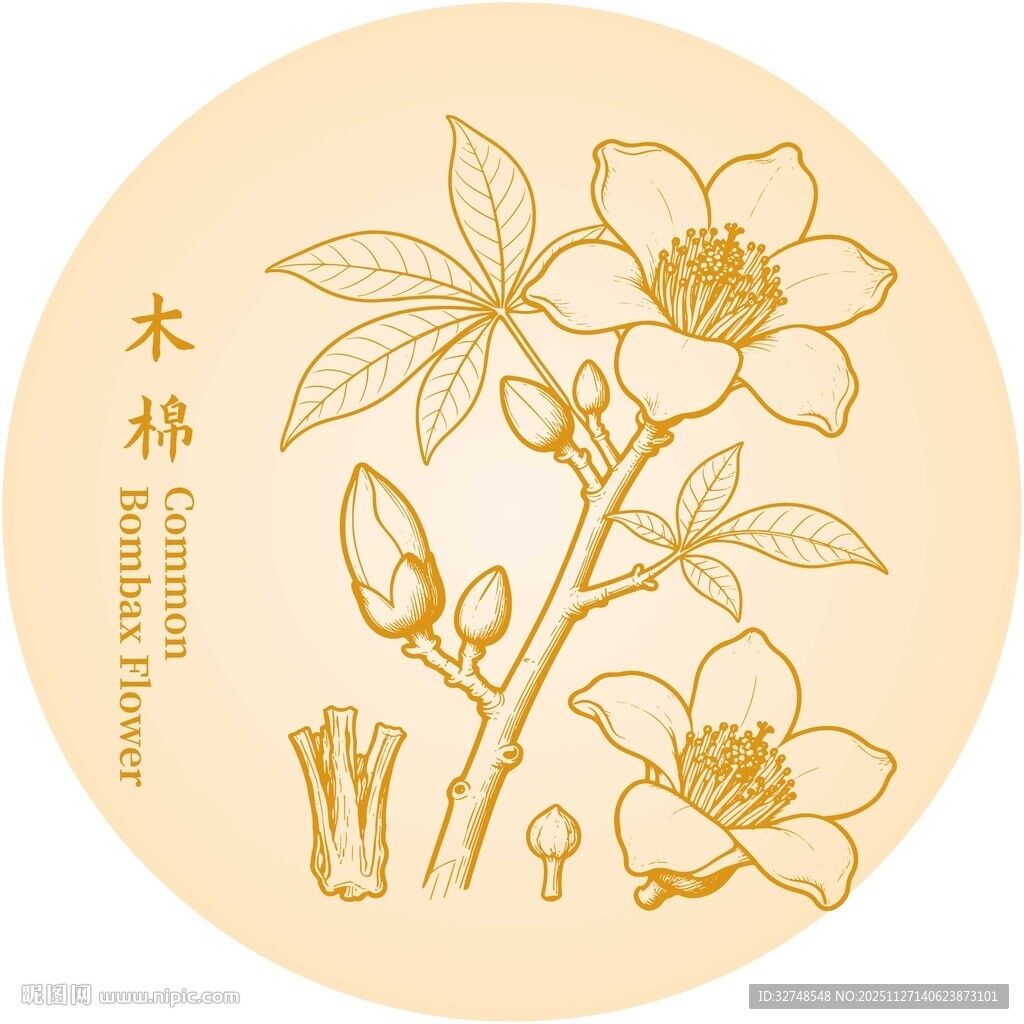 木棉花图案设计