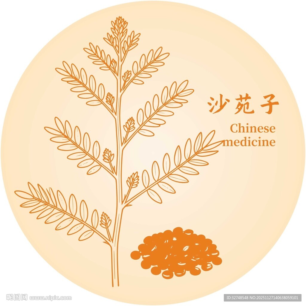 沙苑子植物与药材图示