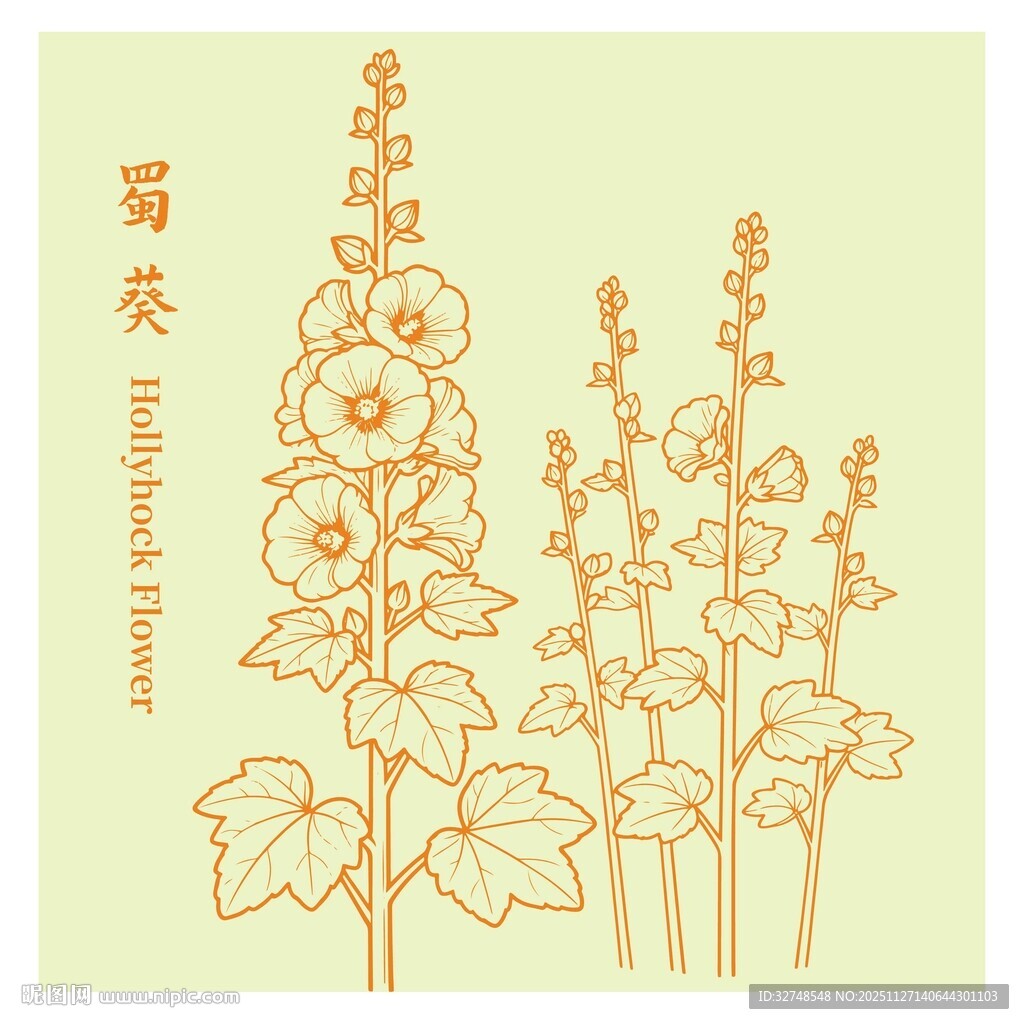 蜀葵花卉线描图案