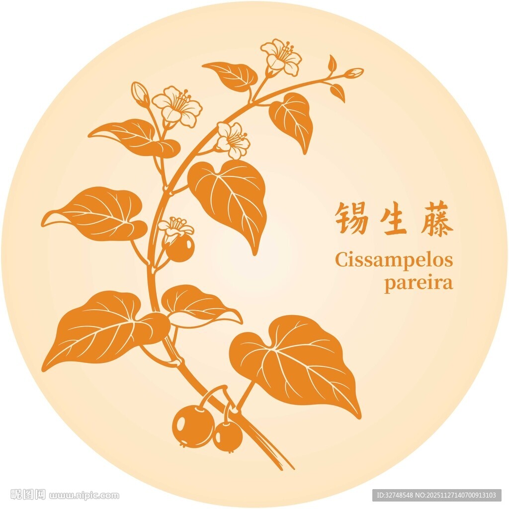 锡生藤植物图案设计元素