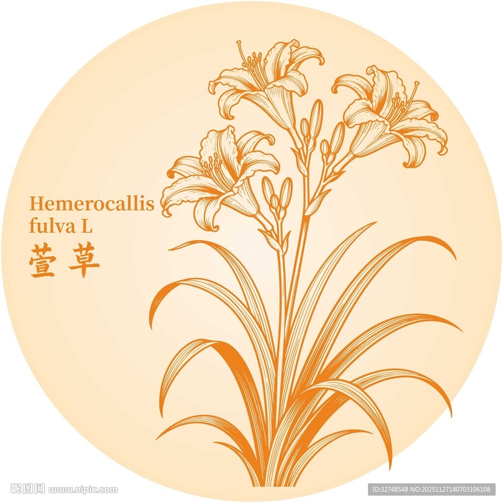 萱草花卉图案设计