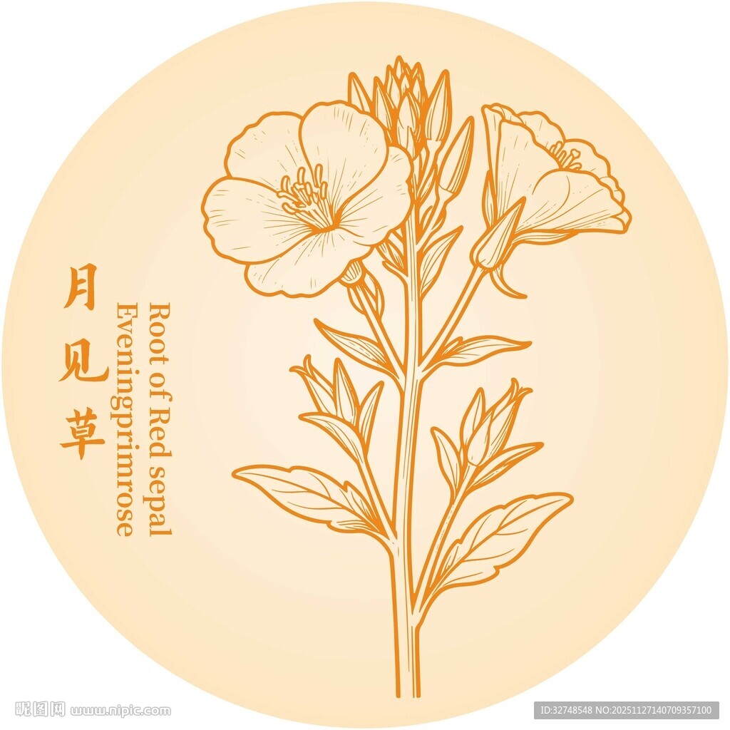 手绘月见草图案设计元素