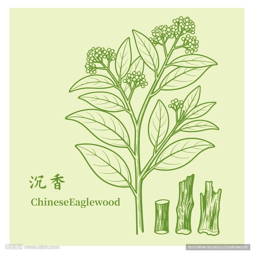 沉香植物及提取物展示