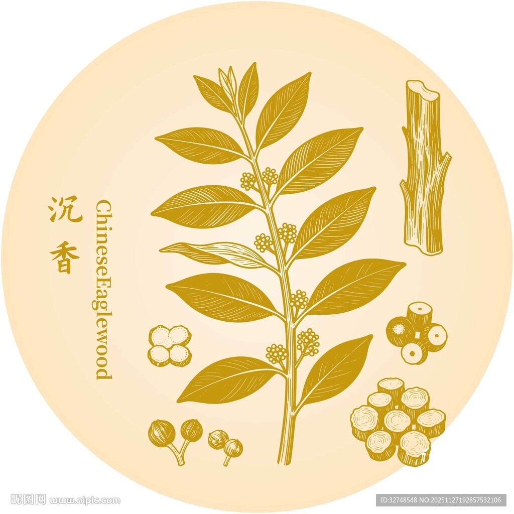 沉香植物元素插画