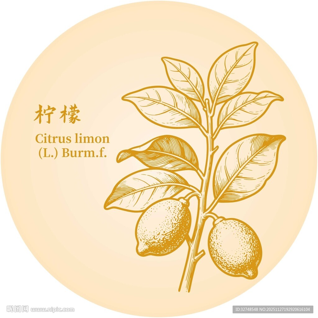 手绘柠檬植物图案