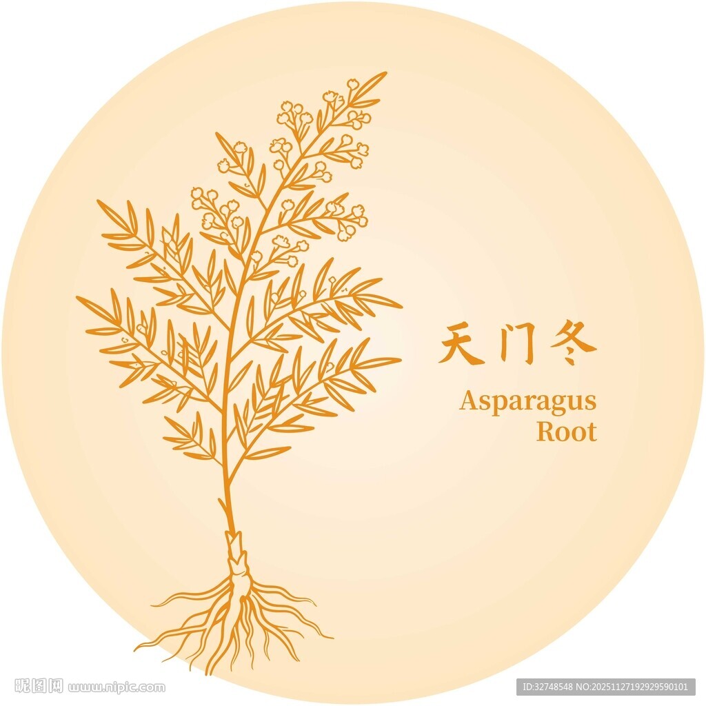 天门冬植物图示