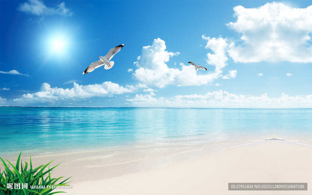 蓝天碧海下的飞翔美景