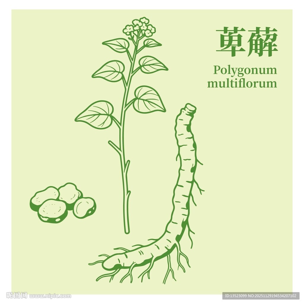 草薢植物手绘图鉴