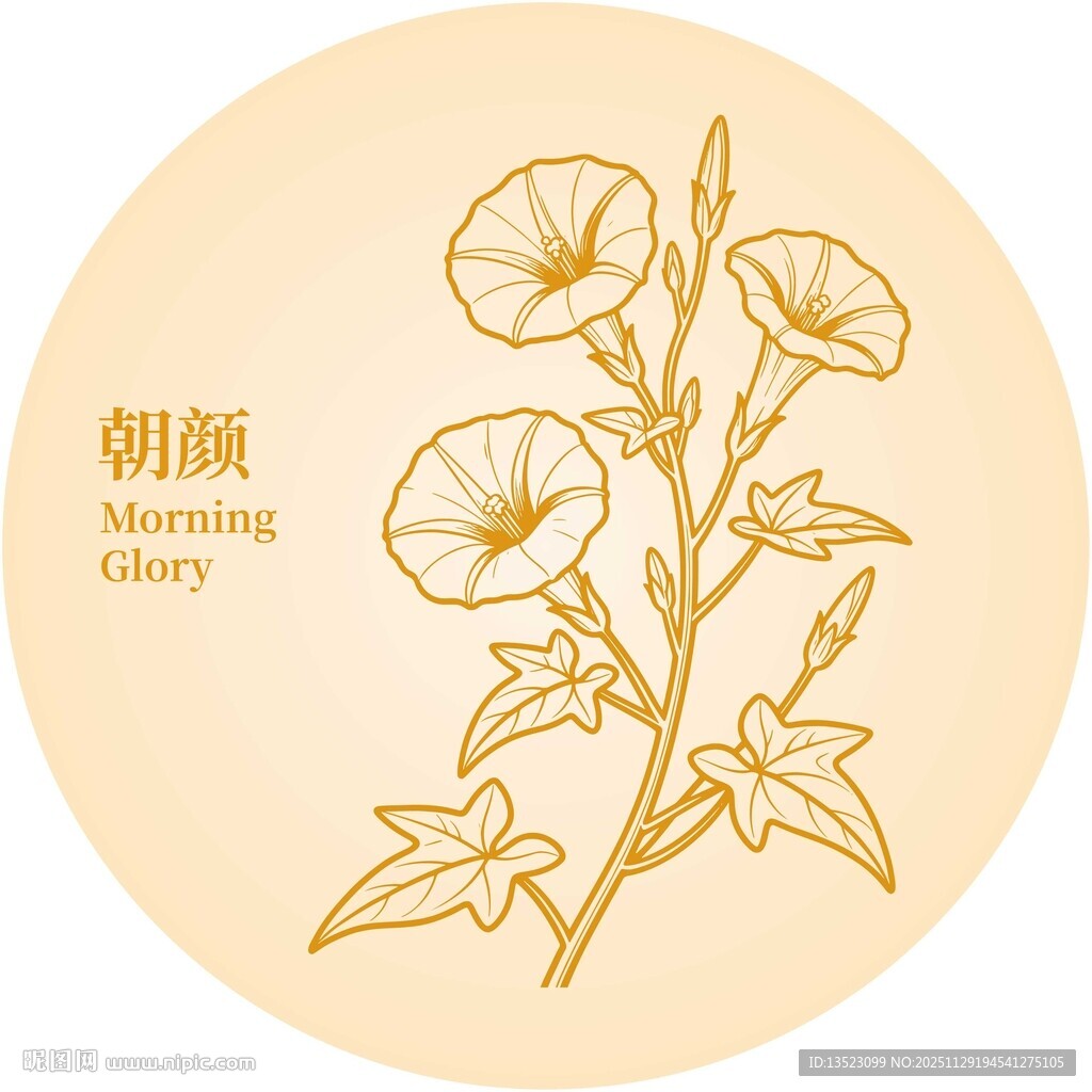 手绘朝颜花图案