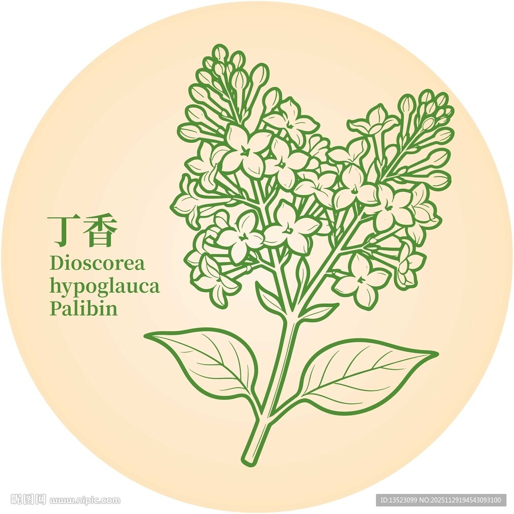 手绘丁香植物图案