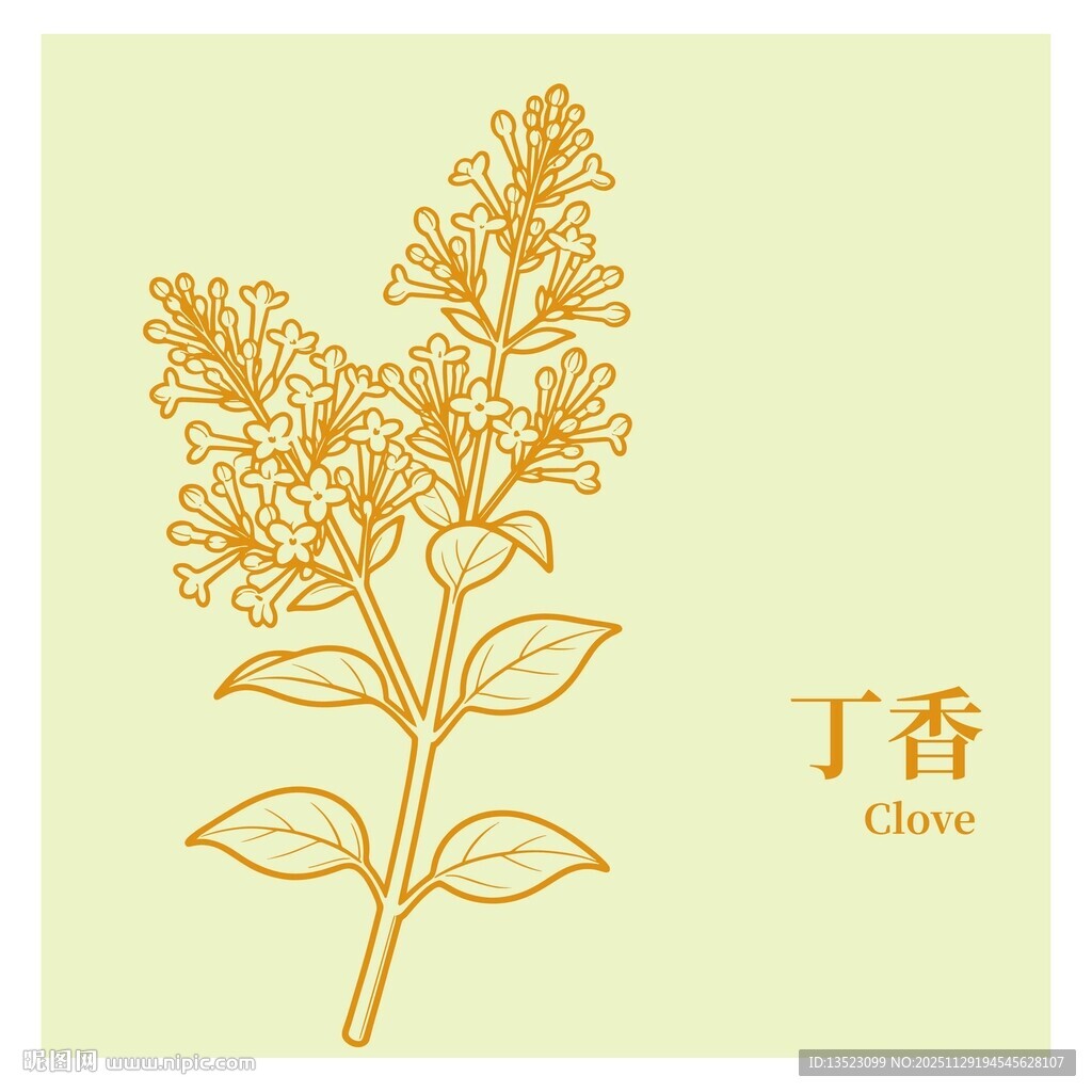 手绘丁香花图案