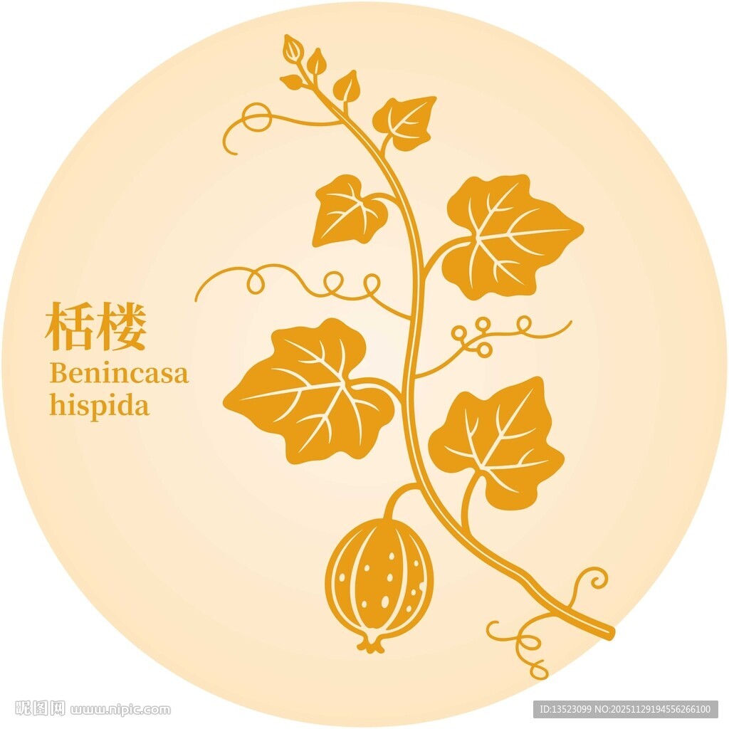 栝楼植物图案