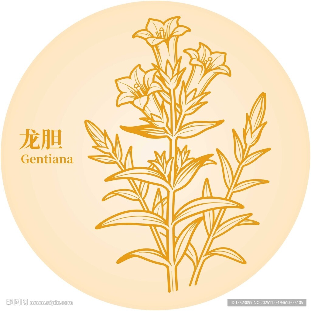 龙胆碱草植物线描图案