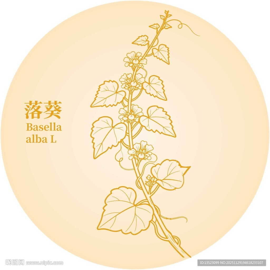 手绘落葵植物图案