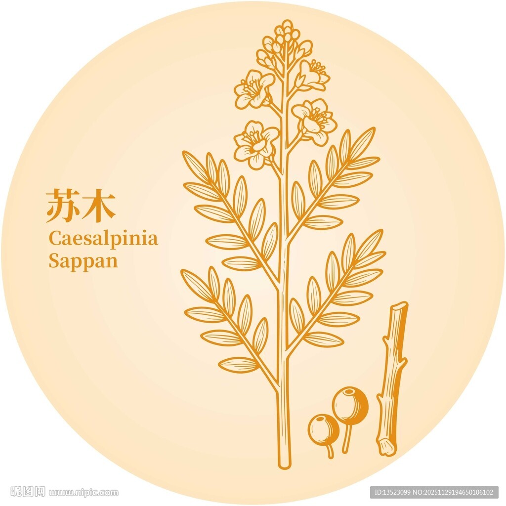 苏木植物图案设计元素