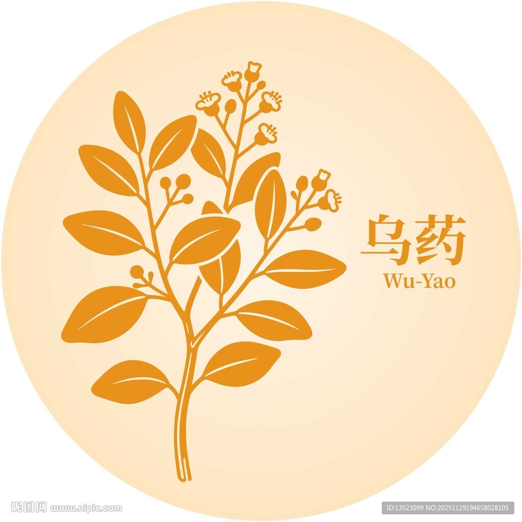 乌药植物图标展示