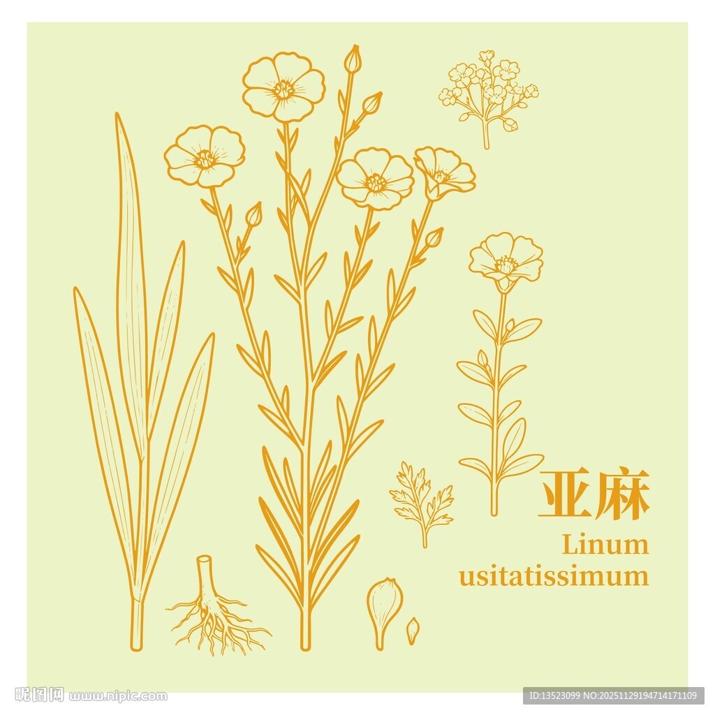 亚麻植物花卉图案设计