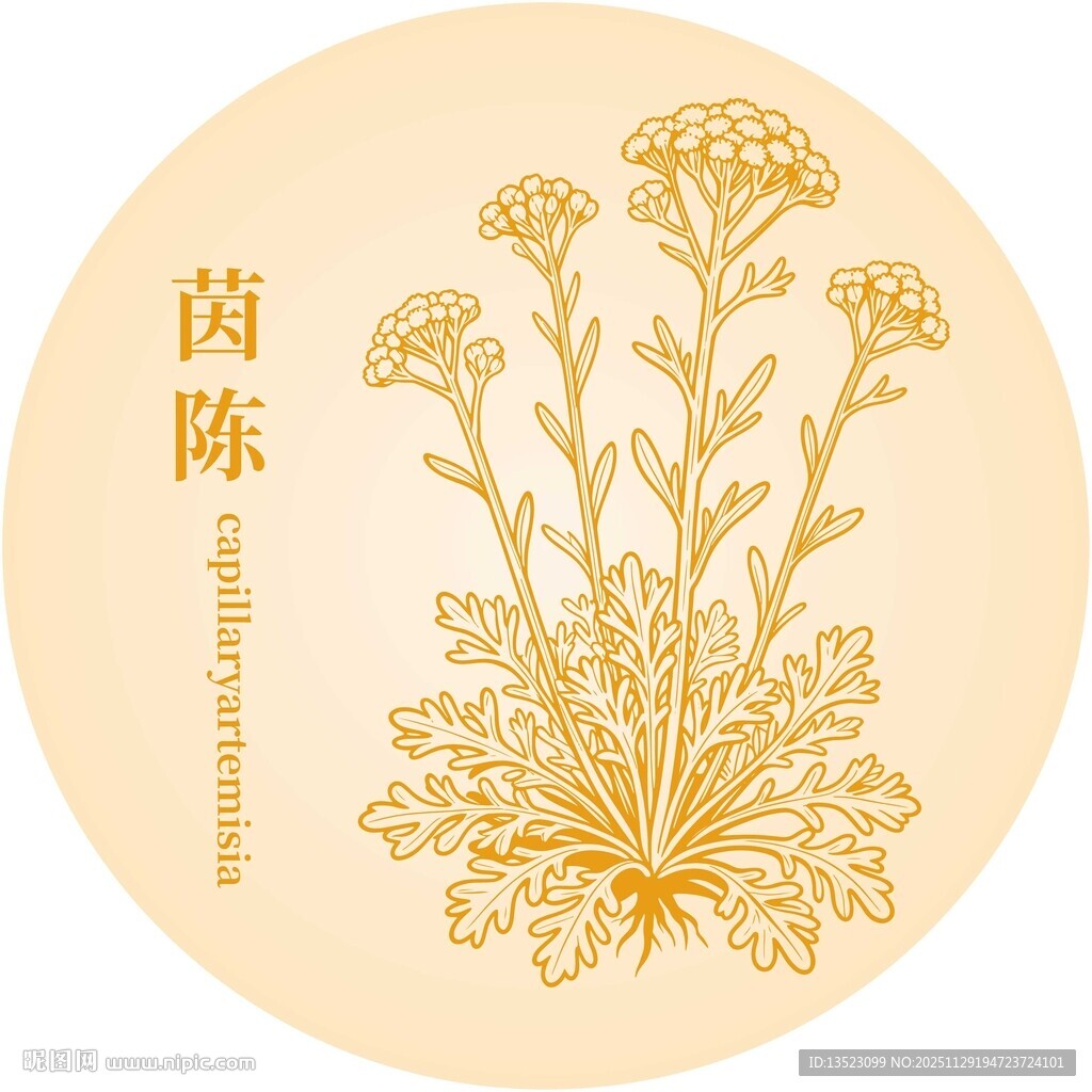 茵陈植物图案设计