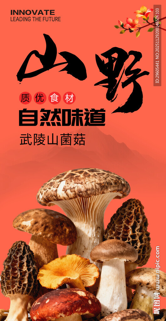 野生菌 蘑菇海报