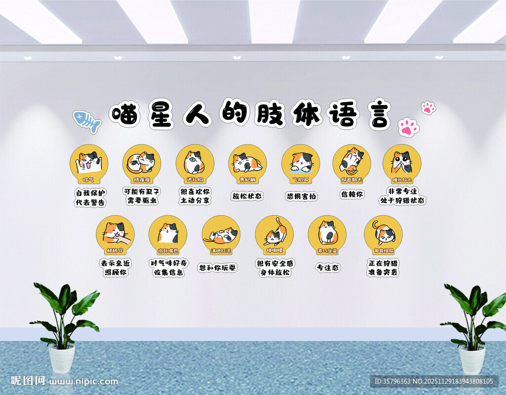 宠物店网红打卡墙拍照区撸猫咖店