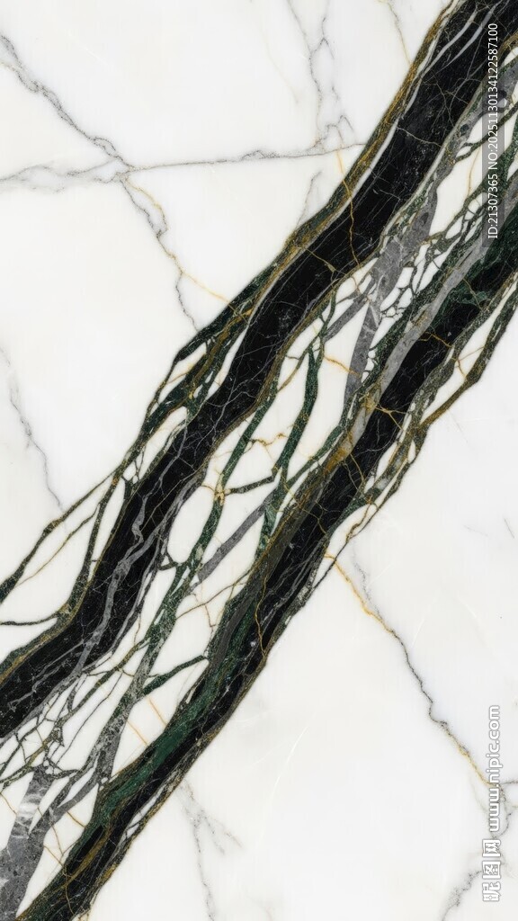 黑色丝状物体特写