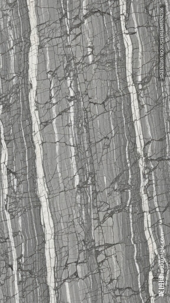 灰白纹理树皮特写