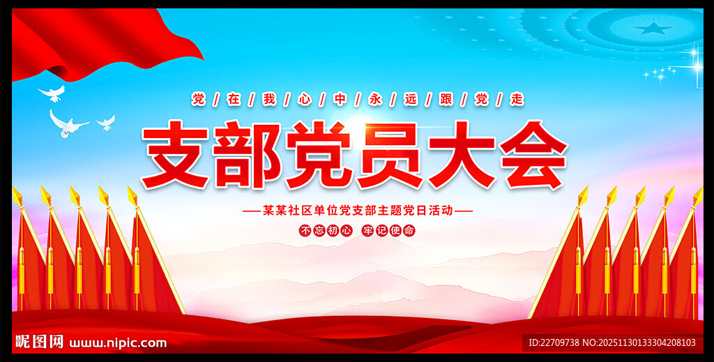 党支部党员大会