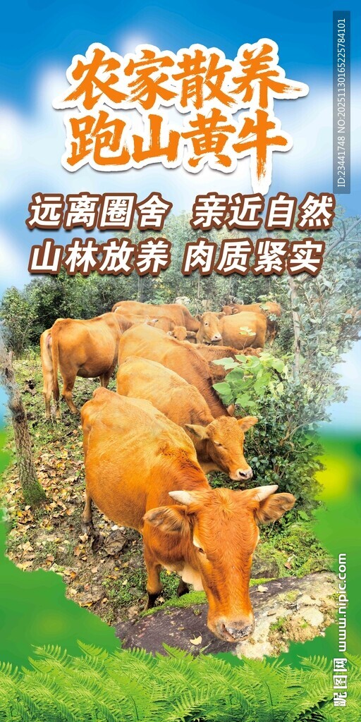 黄牛展板