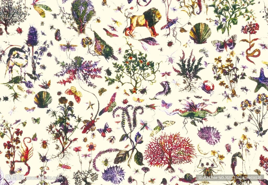 大牌花植物动物