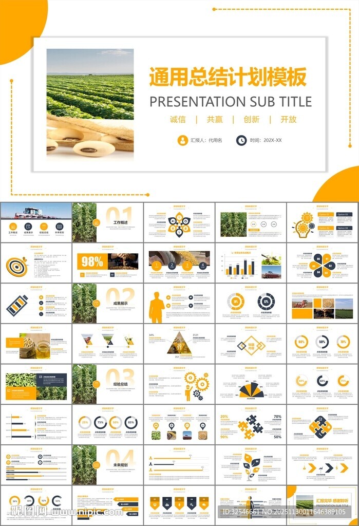 大豆种植产业工作总结年终汇报