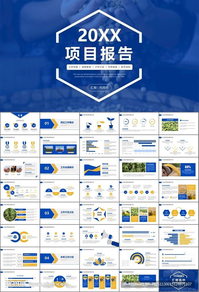 大豆种植产业工作总结年终汇报