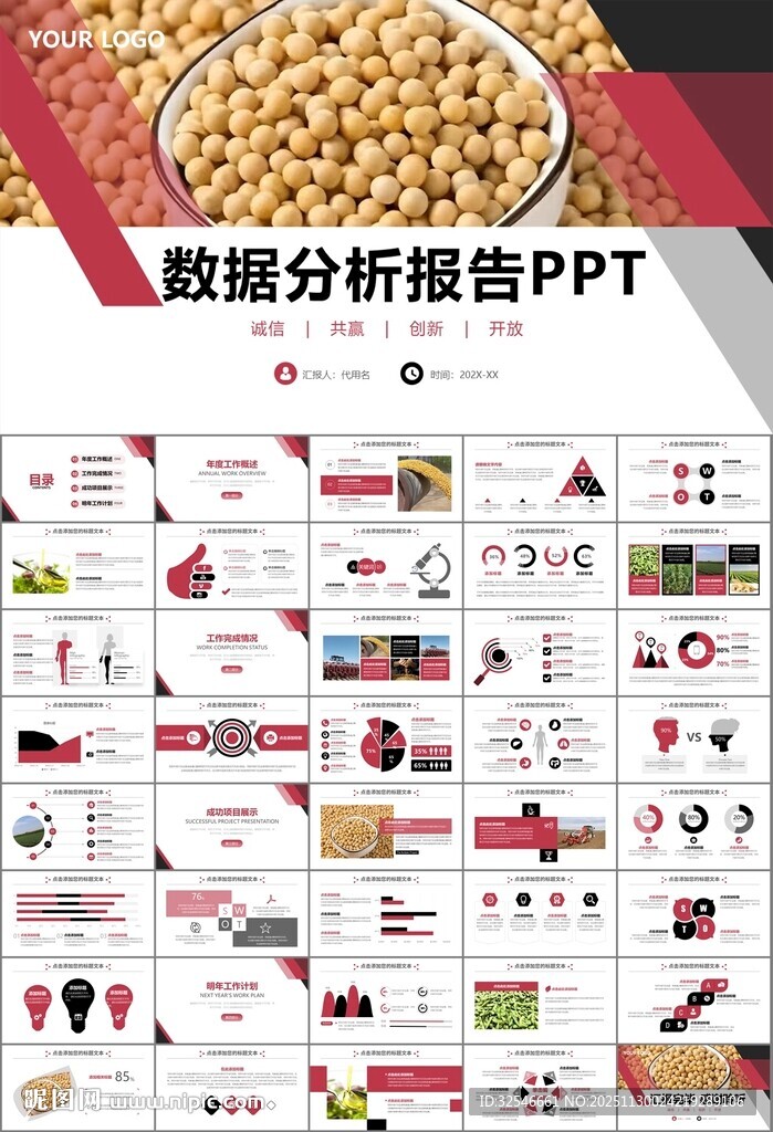 大豆种植产业工作总结年终汇报