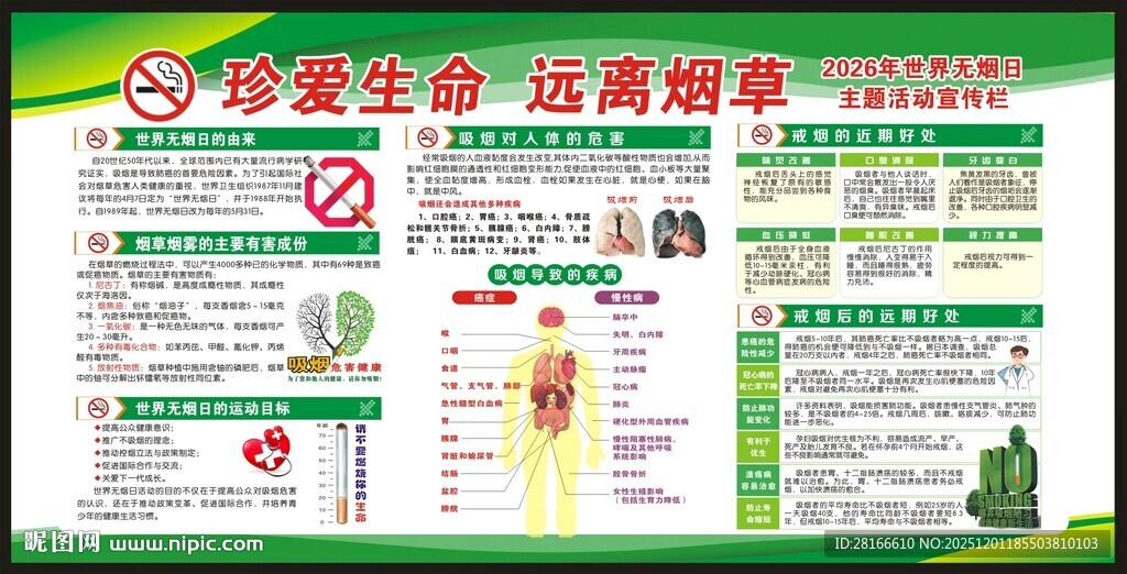 世界无烟日宣传栏