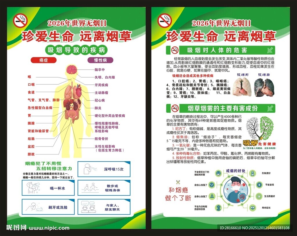世界无烟日展板