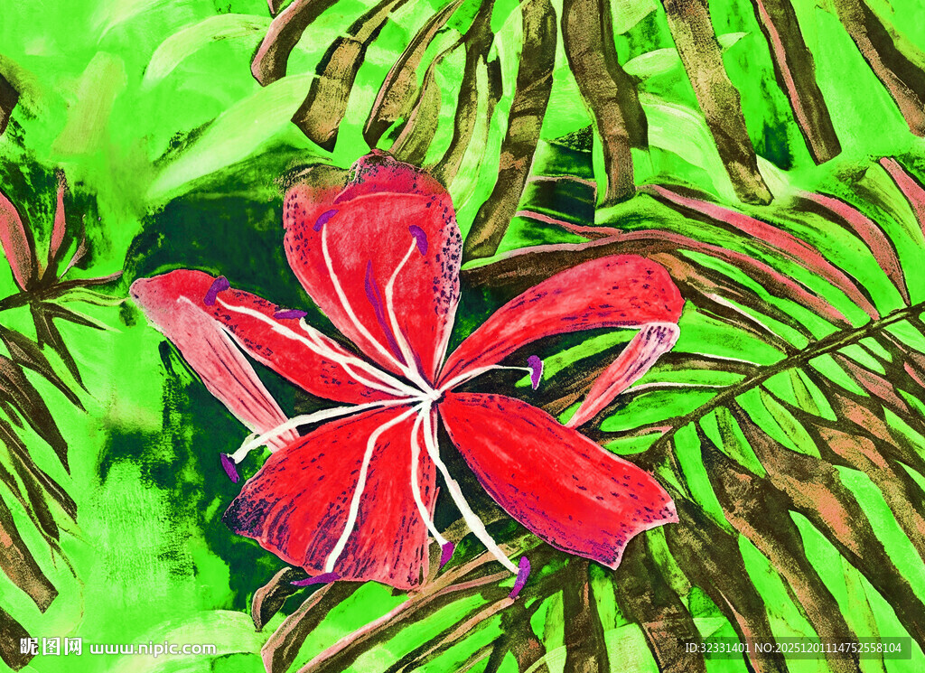 鲜艳红花配翠绿叶片