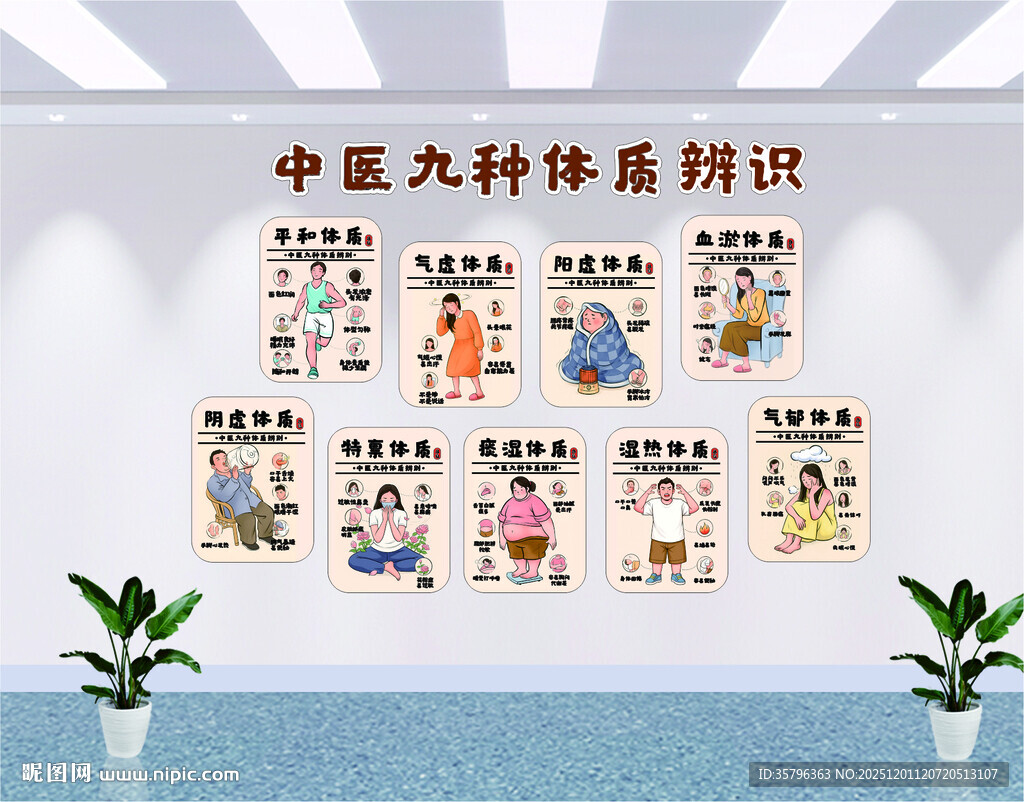 中医九种体质知识展示