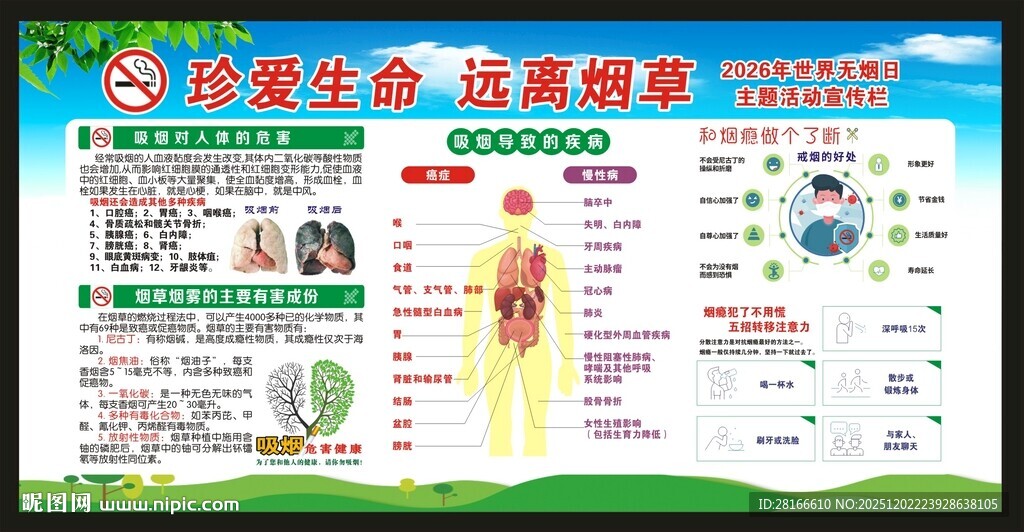 世界无烟日宣传栏