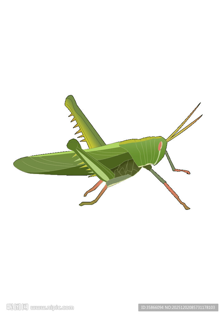 手绘蝗虫免扣