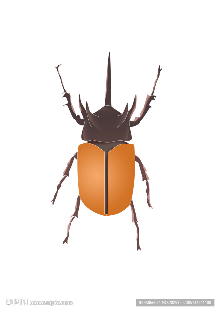 手绘免扣甲虫