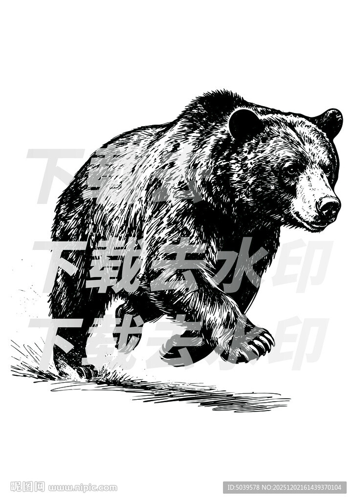 矢量手绘线描黑熊图