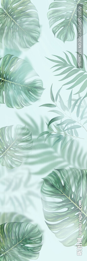 热带雨林绿植雾气模糊背景