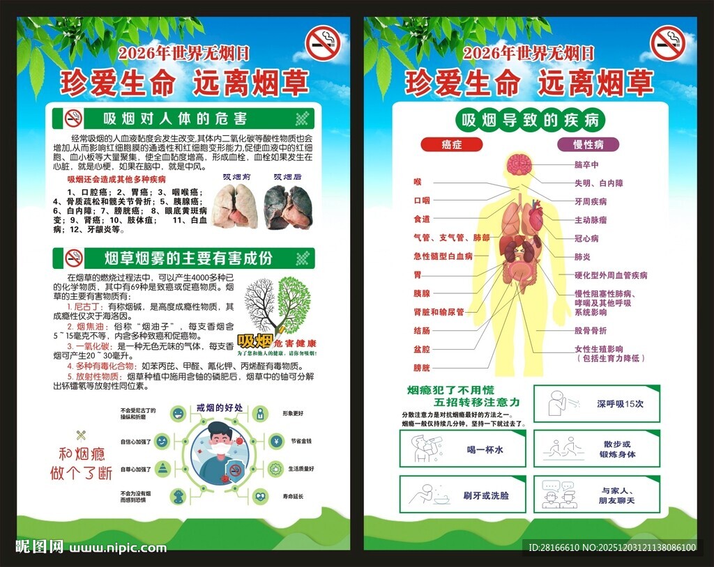 世界无烟日展板