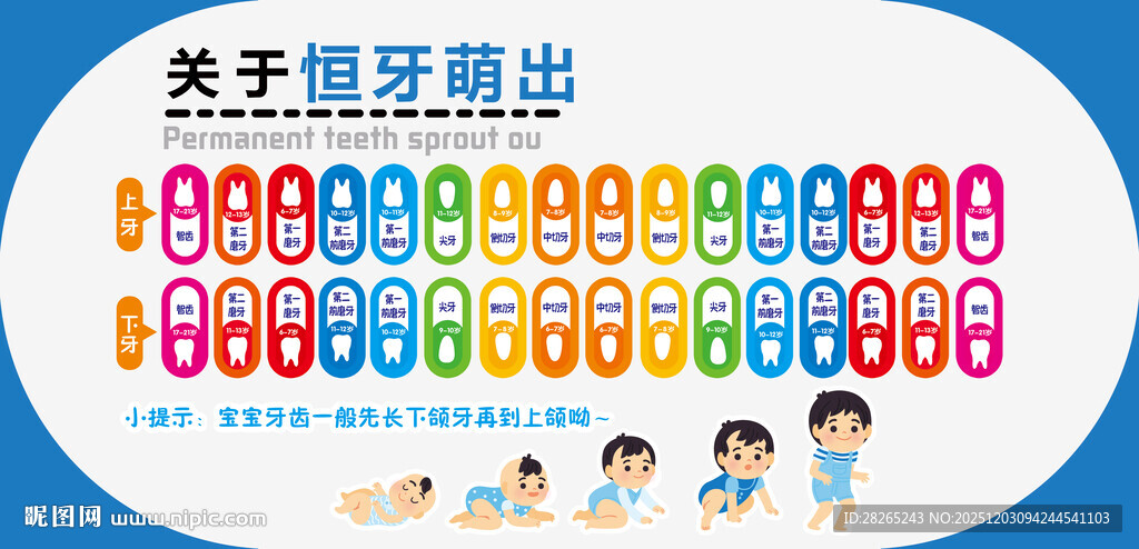 儿童牙齿萌出时间表