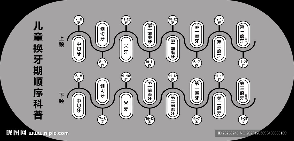 儿童换牙顺序